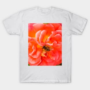 Bee on a pink rose T-Shirt